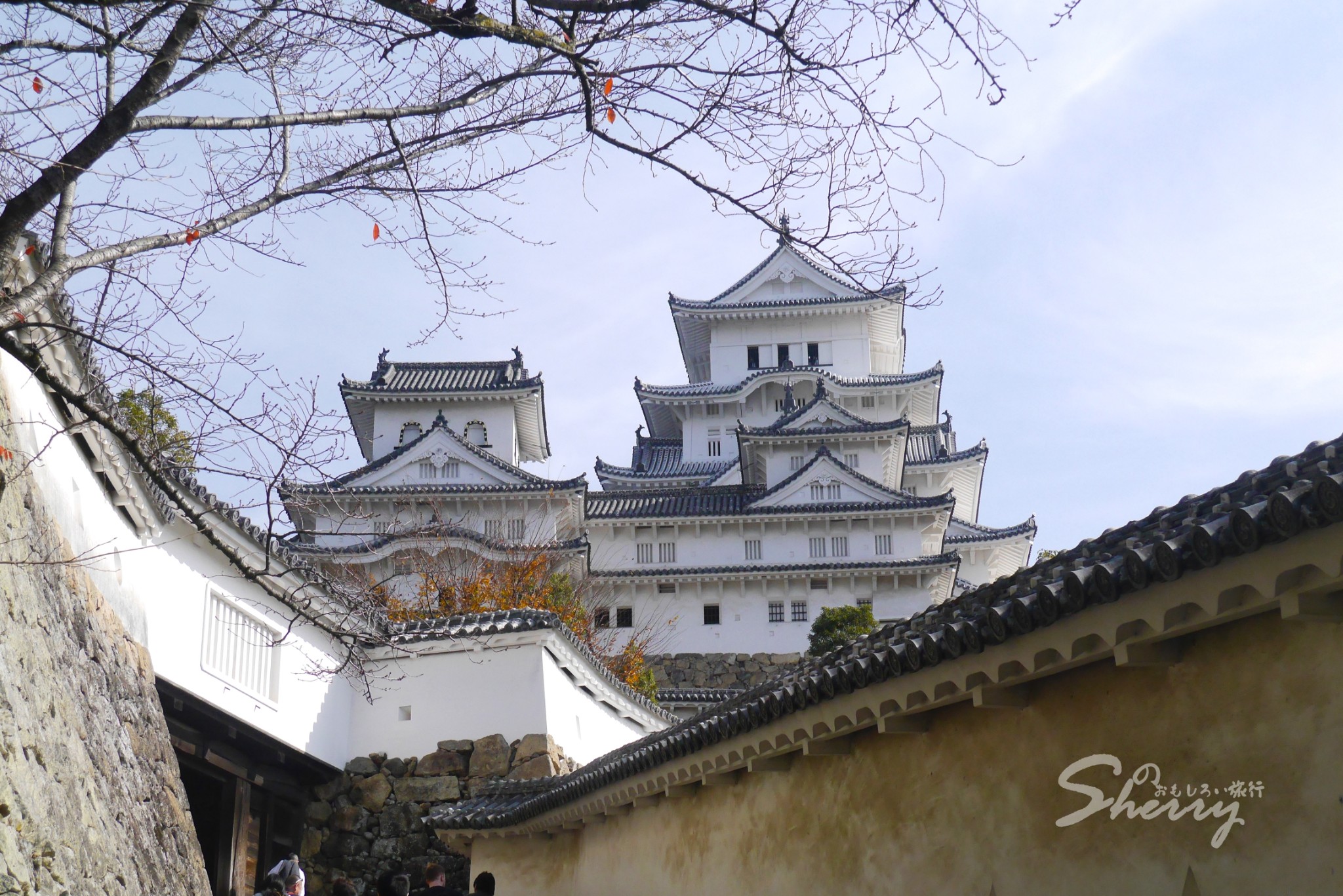 京都自助遊攻略