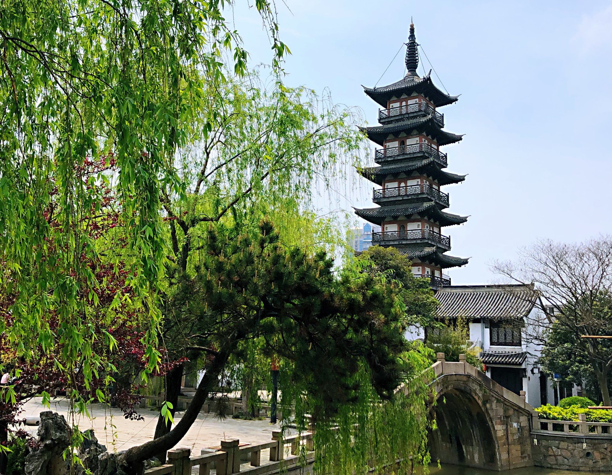 漫步上海 嘉定的那些花兒,那些園子,那條街