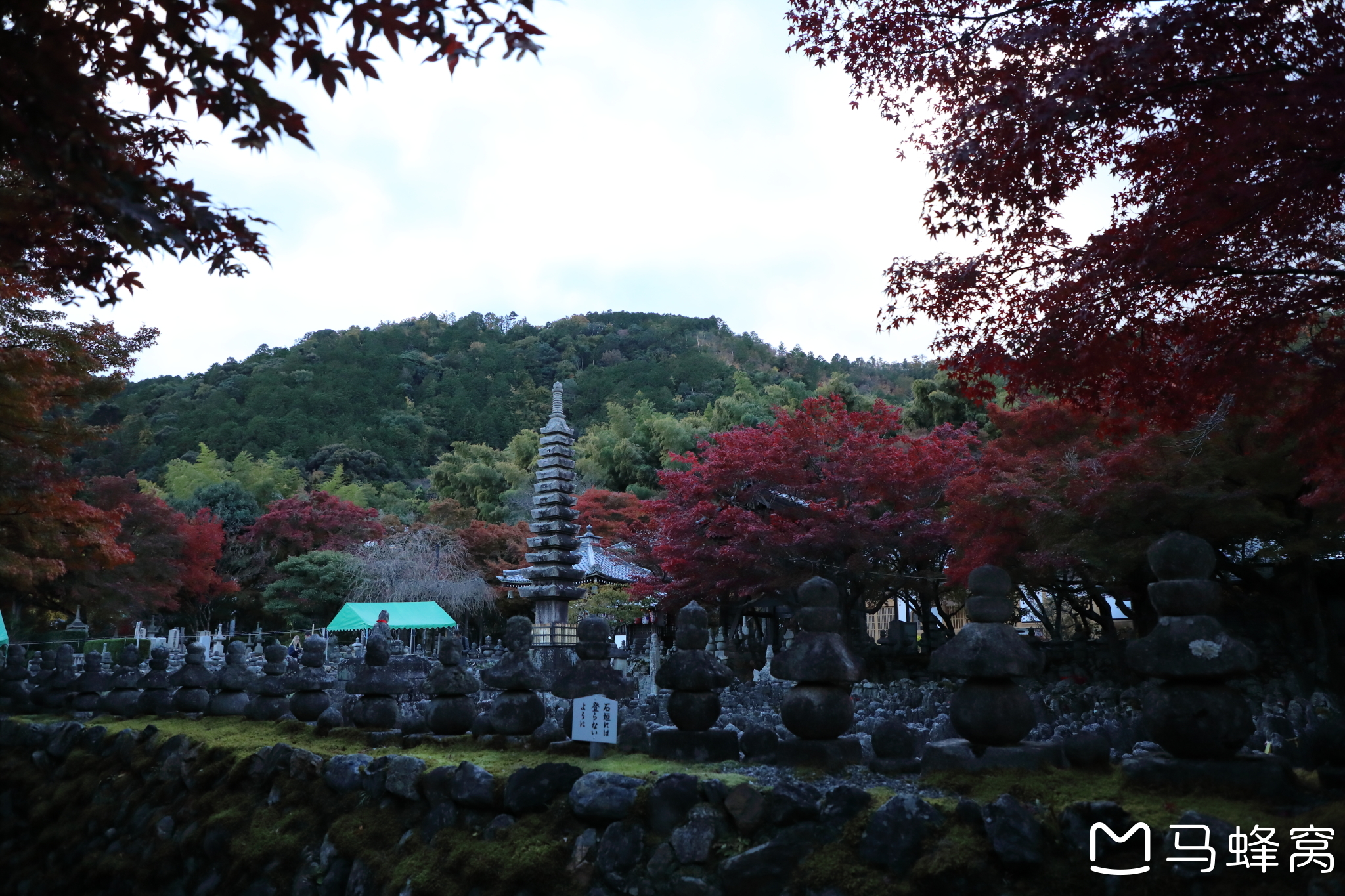 京都自助遊攻略