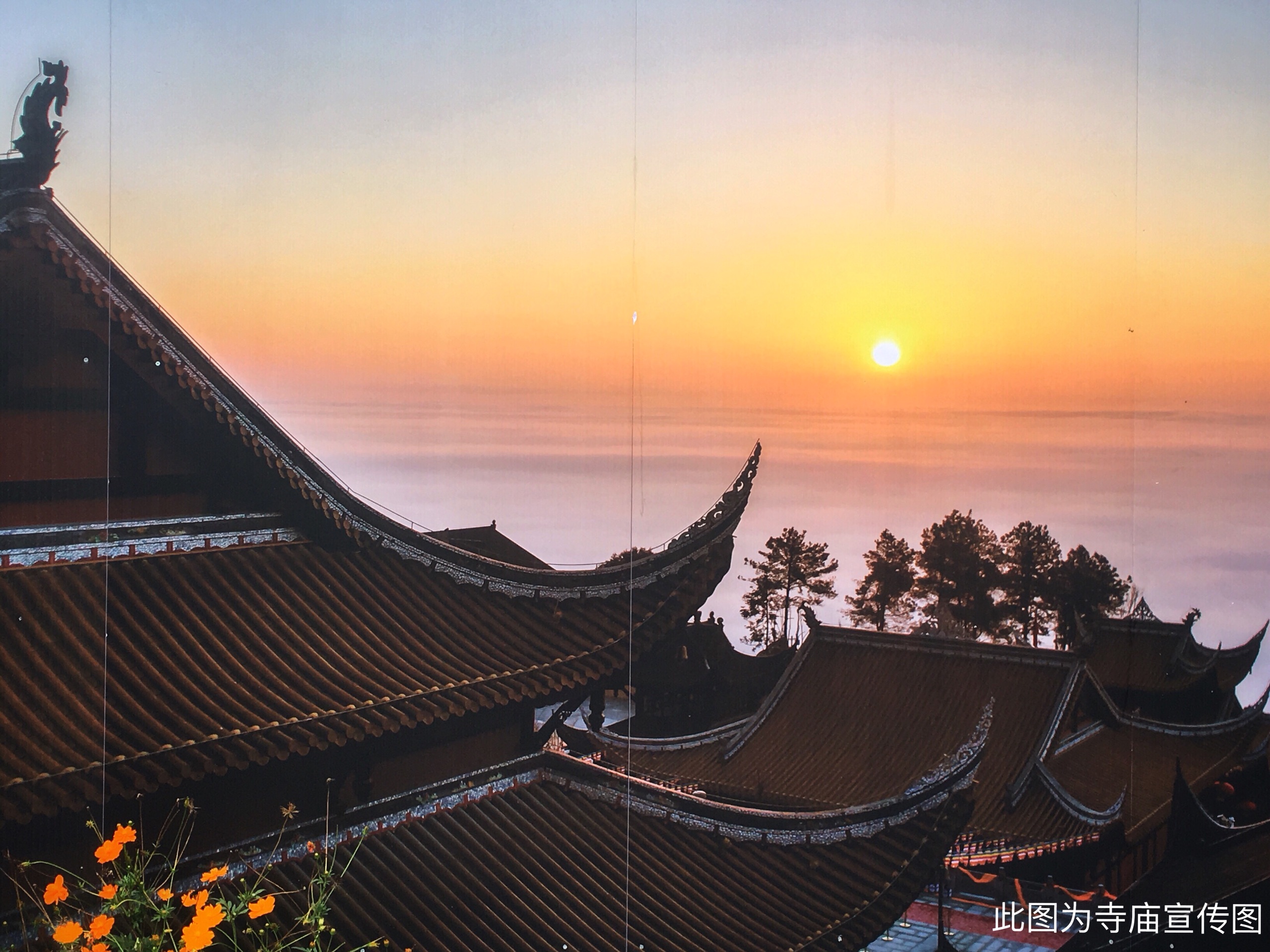 永川茶山竹海-宝吉寺攻略,茶山竹海-宝吉寺门票_地址,茶山竹海-宝吉寺