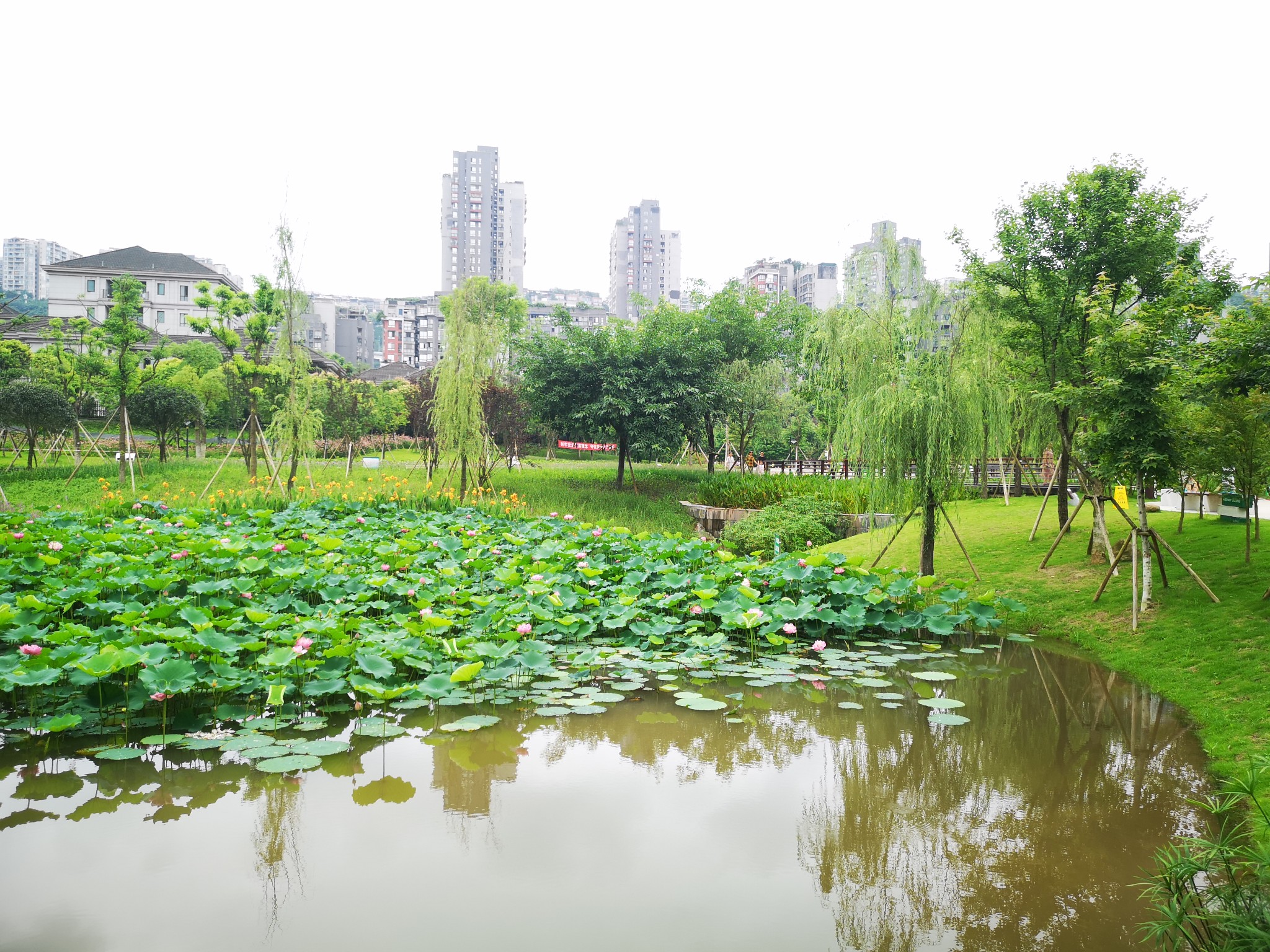 闲逛沐仙湖湿地公园