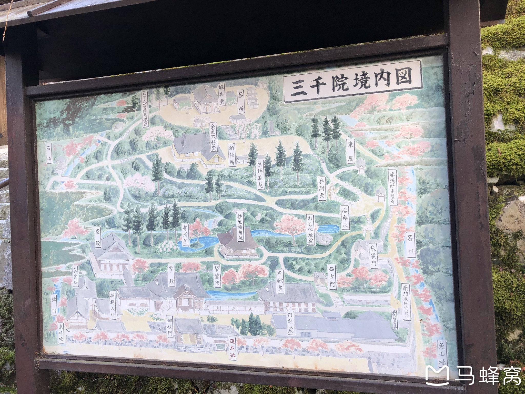 京都自助遊攻略