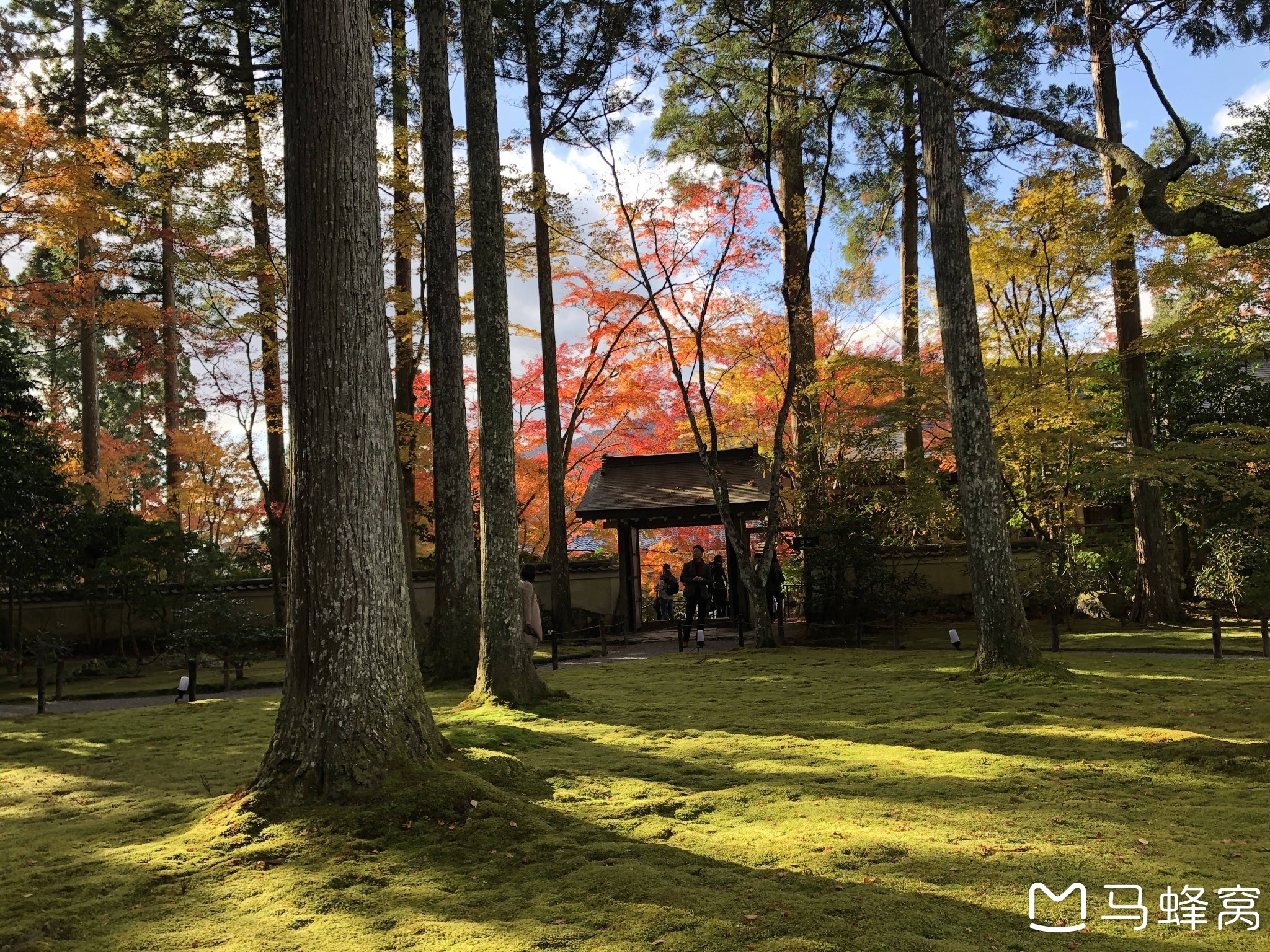 京都自助遊攻略