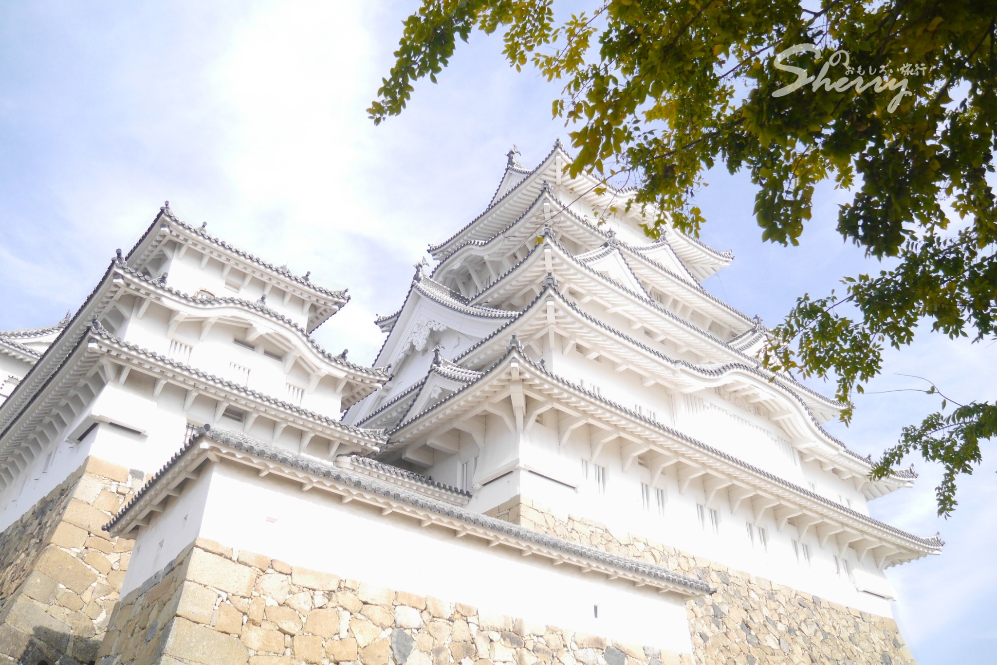 京都自助遊攻略