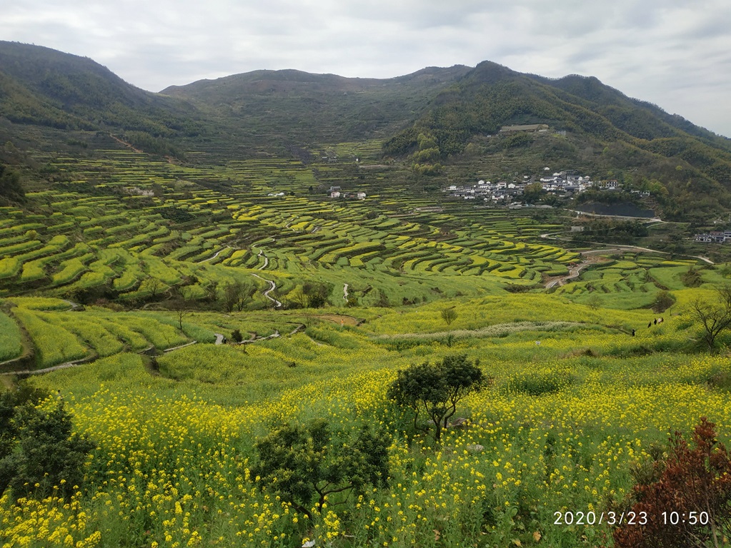 赏花踏浪登青云 误入远道行泥路——登覆卮山记...