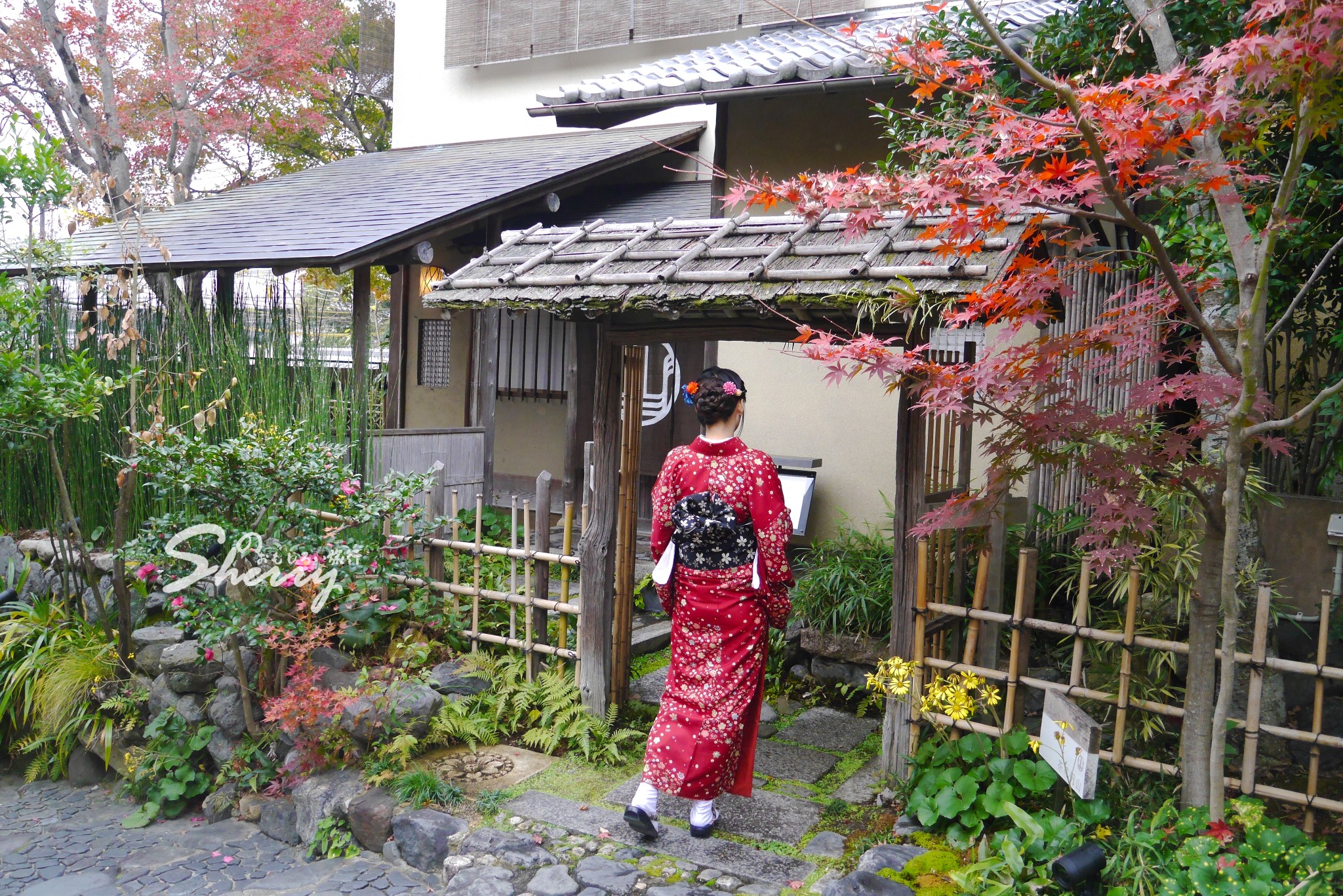 京都自助遊攻略