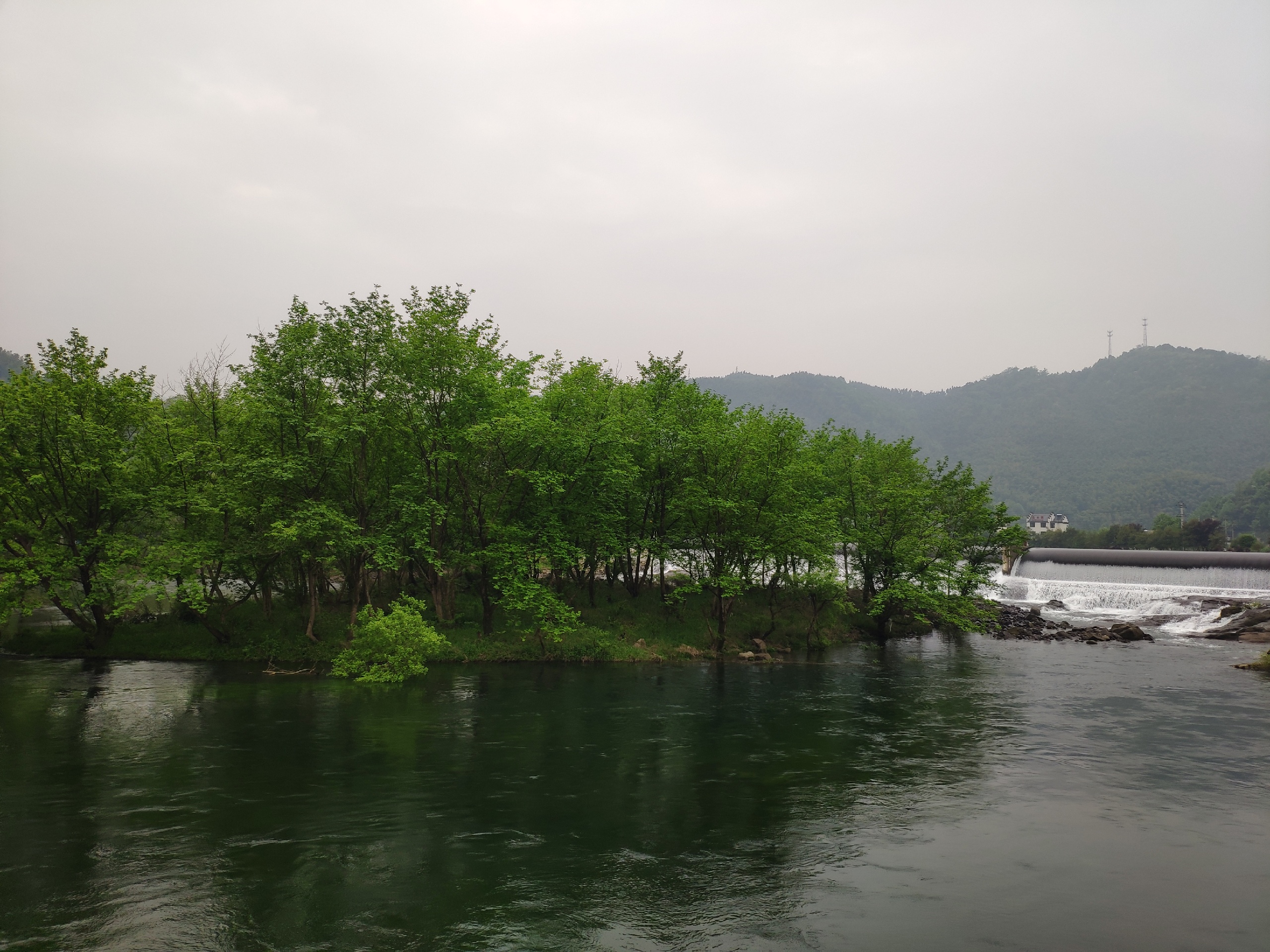 谷雨茗院