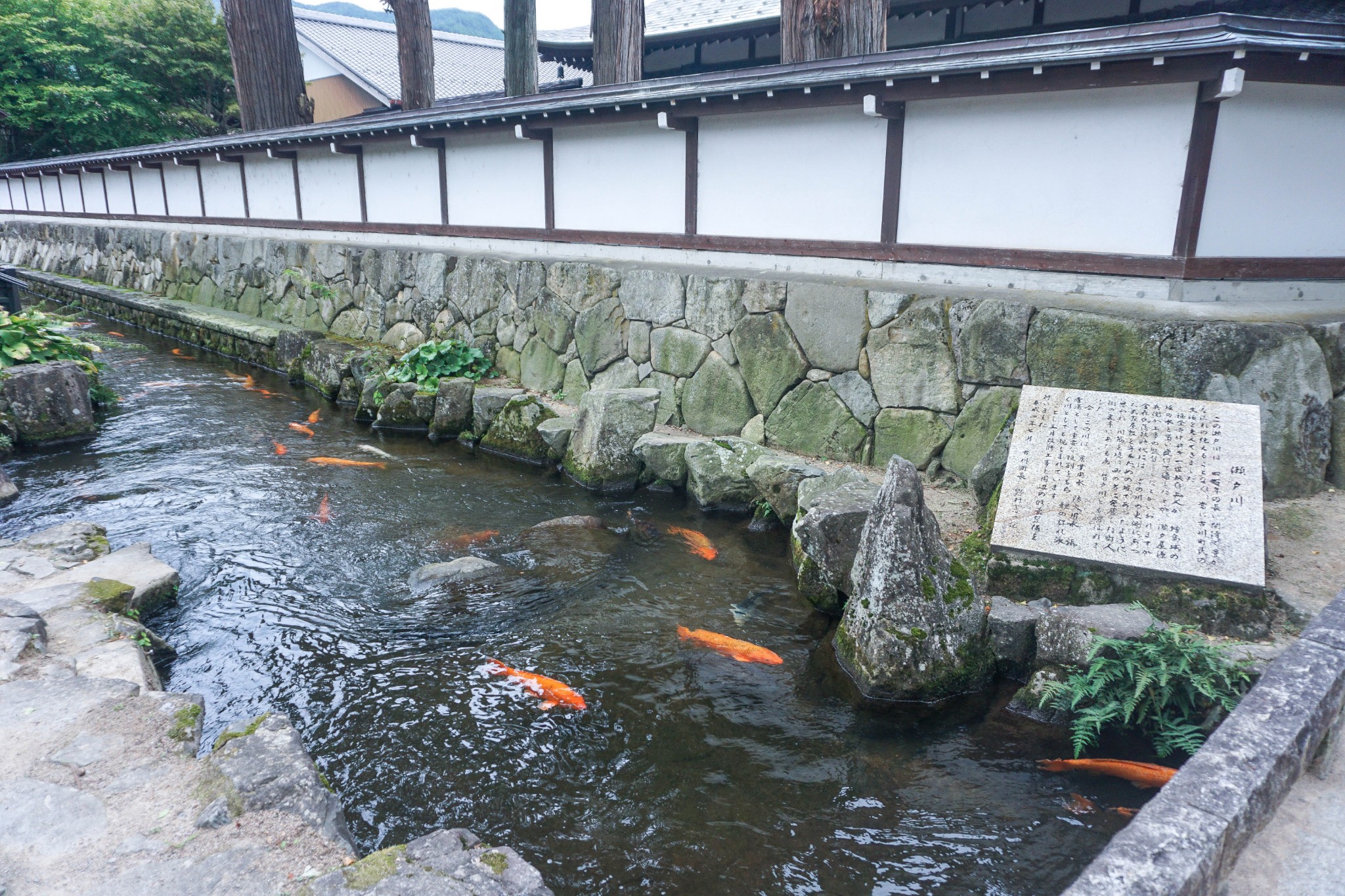 名古屋自助遊攻略