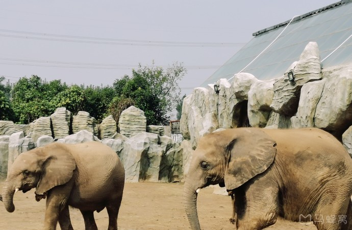 河南濮陽東北莊野生動物園景區門票電子票