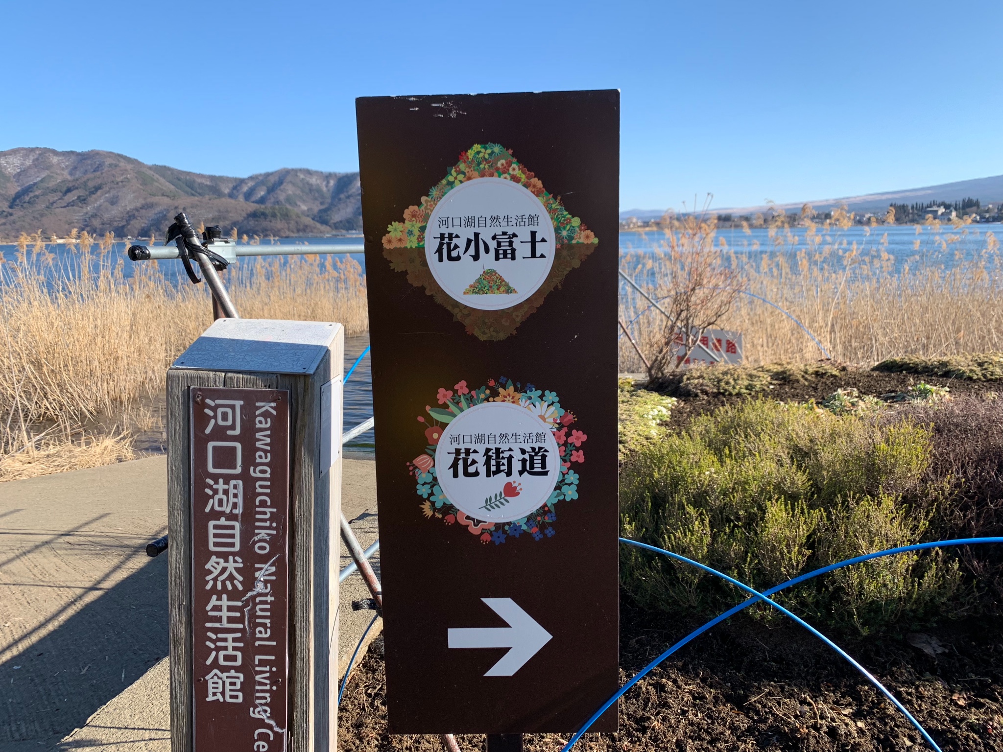 北海道自助遊攻略