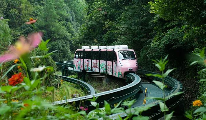 浙江奉化溪口雪窦山门票1张千丈岩妙高台三隐潭雪窦寺弥勒大佛徐凫岩1