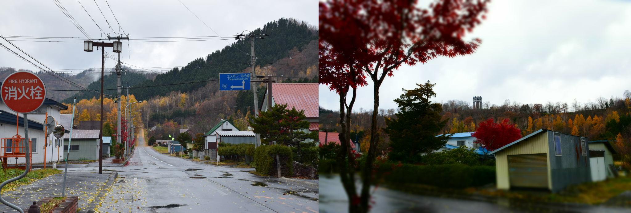 北海道自助遊攻略