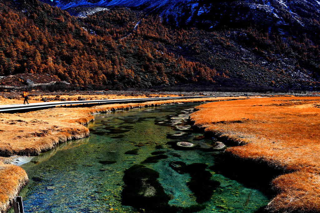 神山环绕牛羊成群|海拔四千米之上的洛绒牛场