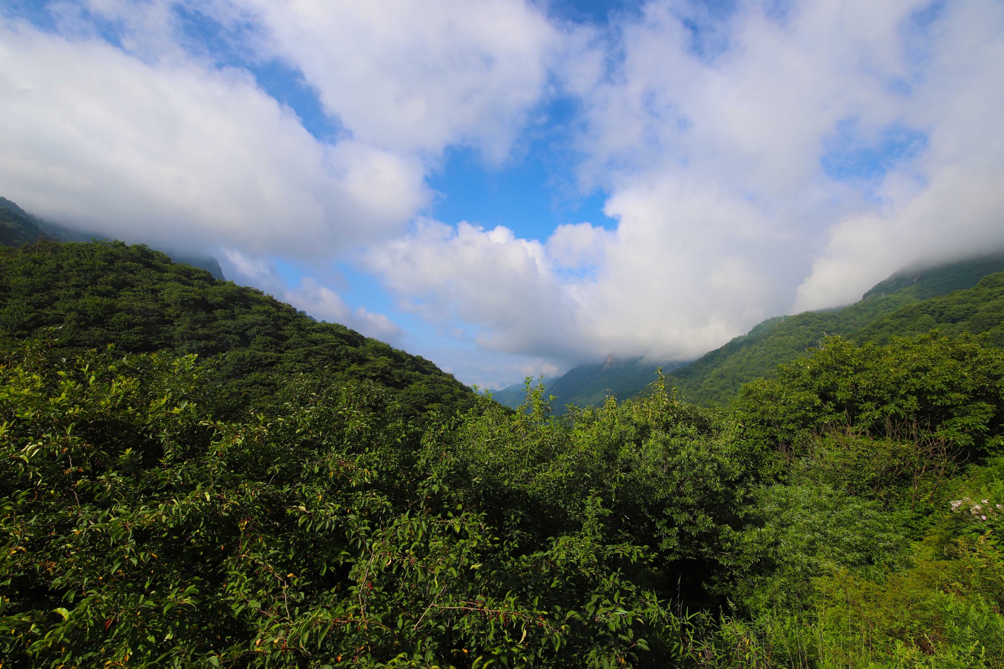 東坪溝圖片高山草甸圖片東佛溝圖片本篇遊記共含702個文字,0張圖片.