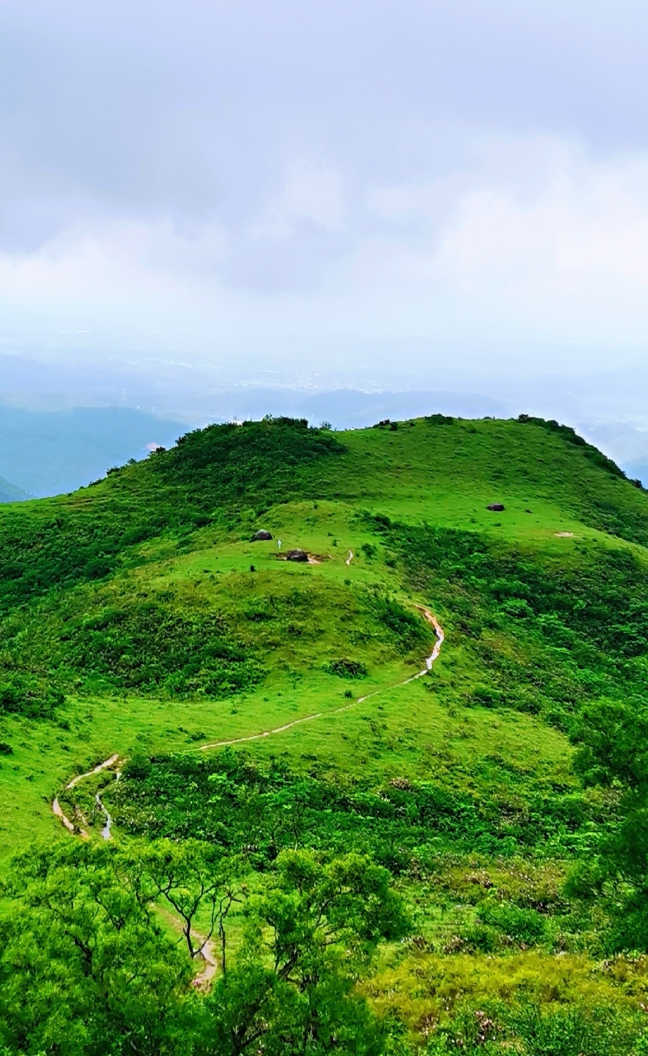 2020年6月,被烈日,风雨肆虐的恩平牛塘山,石头村之行