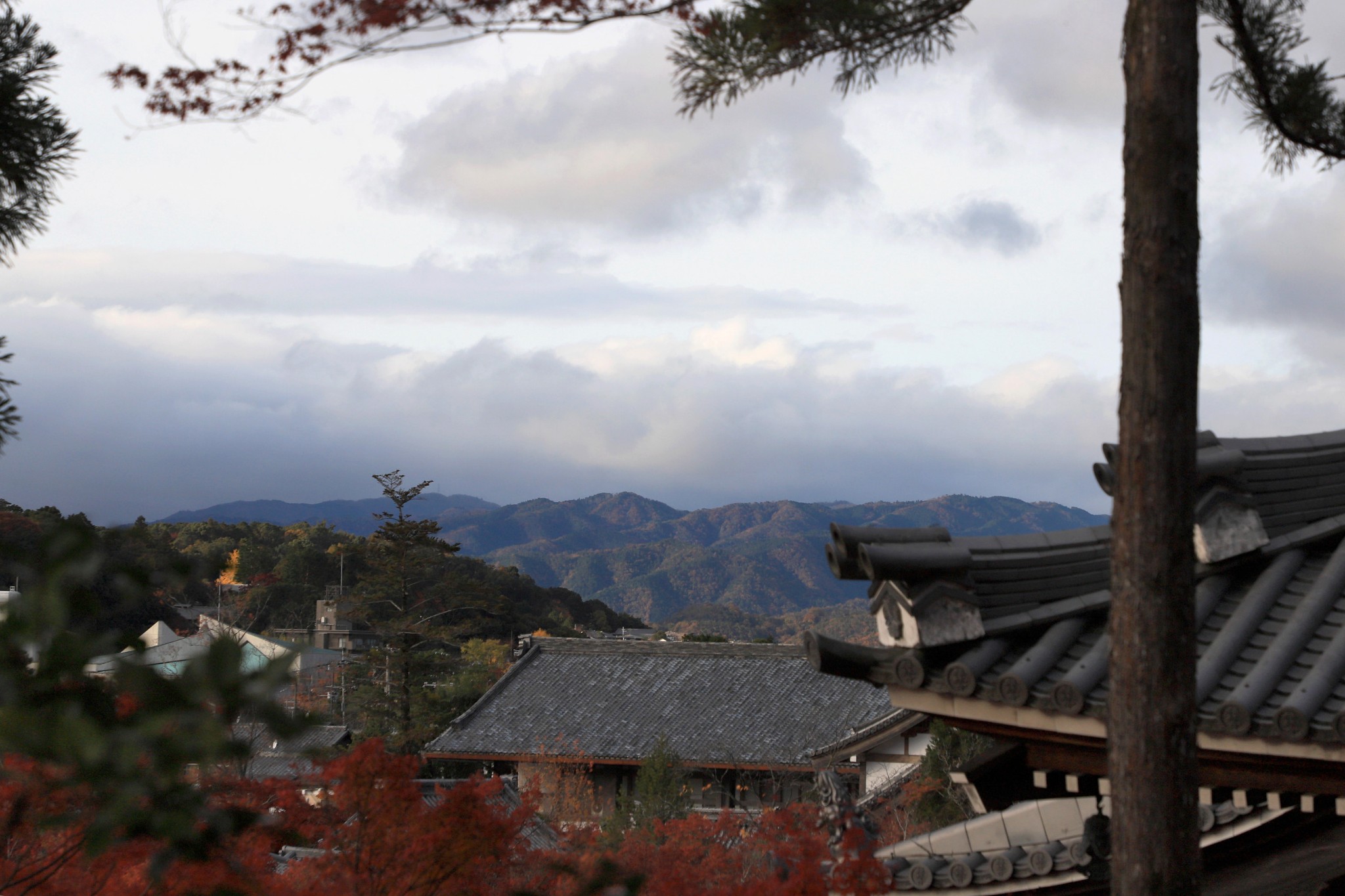 京都自助遊攻略