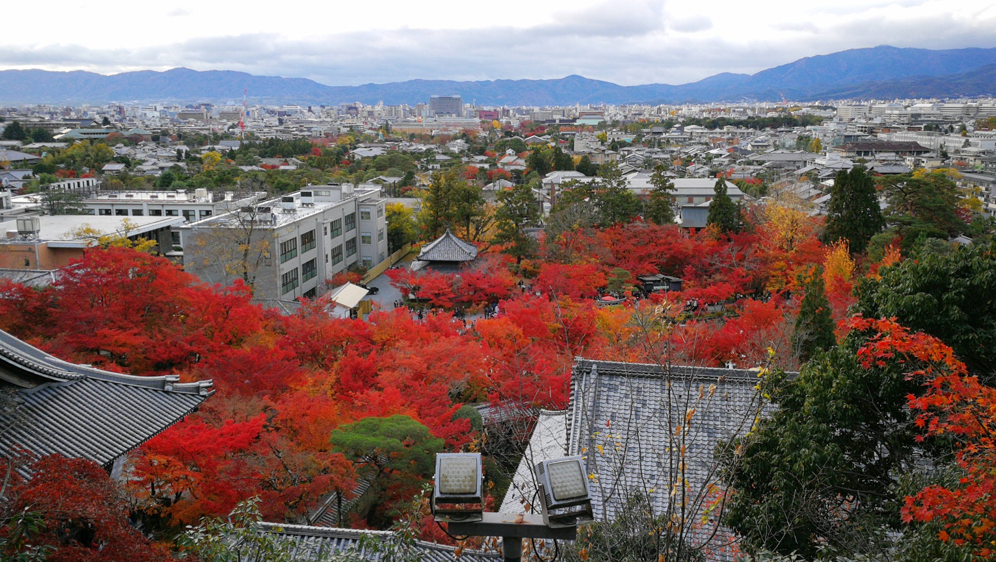 京都自助遊攻略