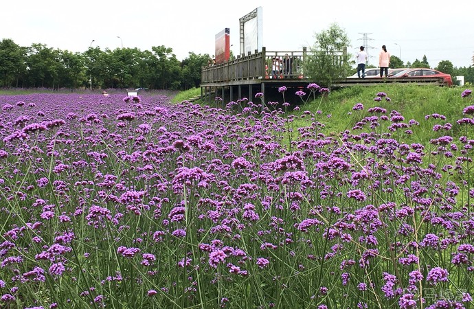 宁波都市农业园区旅游图片,宁波都市农业园区自助游图片,宁波都市农业