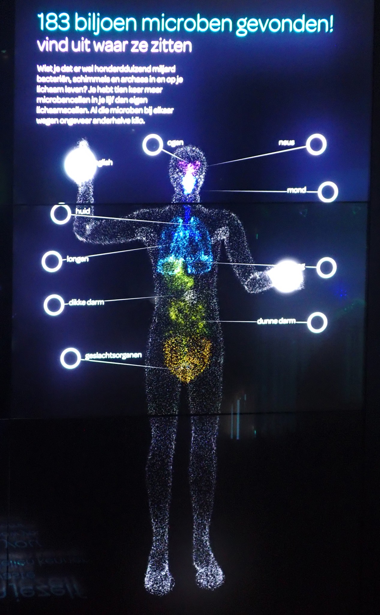 阿姆斯特丹 | micropia微生物博物馆,微观世界的魅力,荷兰自助游攻略