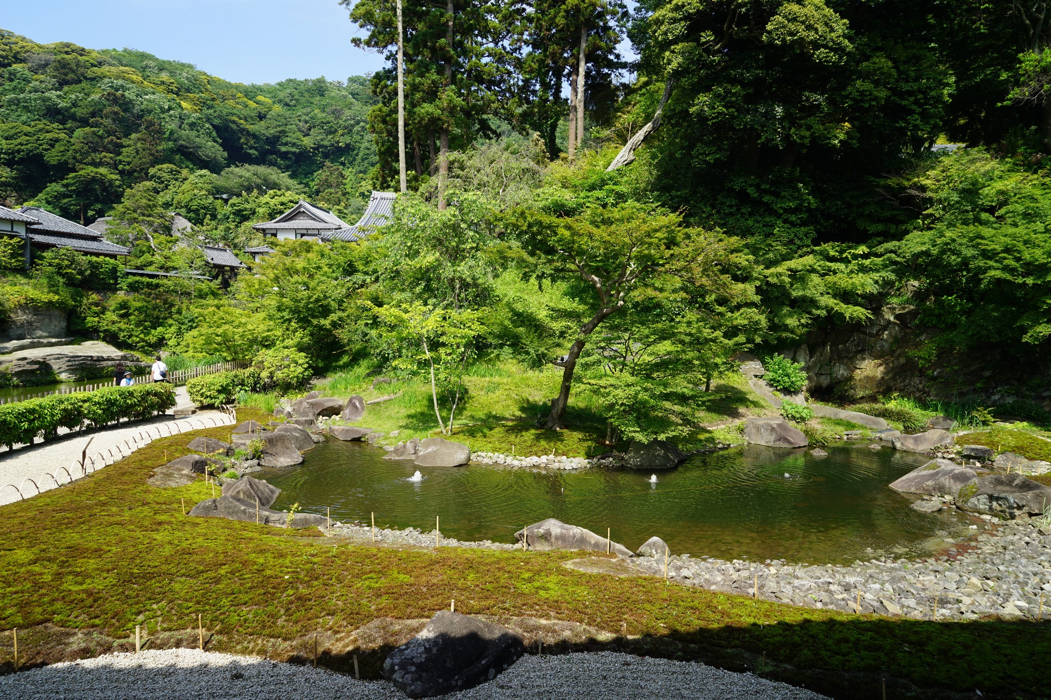 令和元月遊關東鎌倉富士山河口湖東京自由行