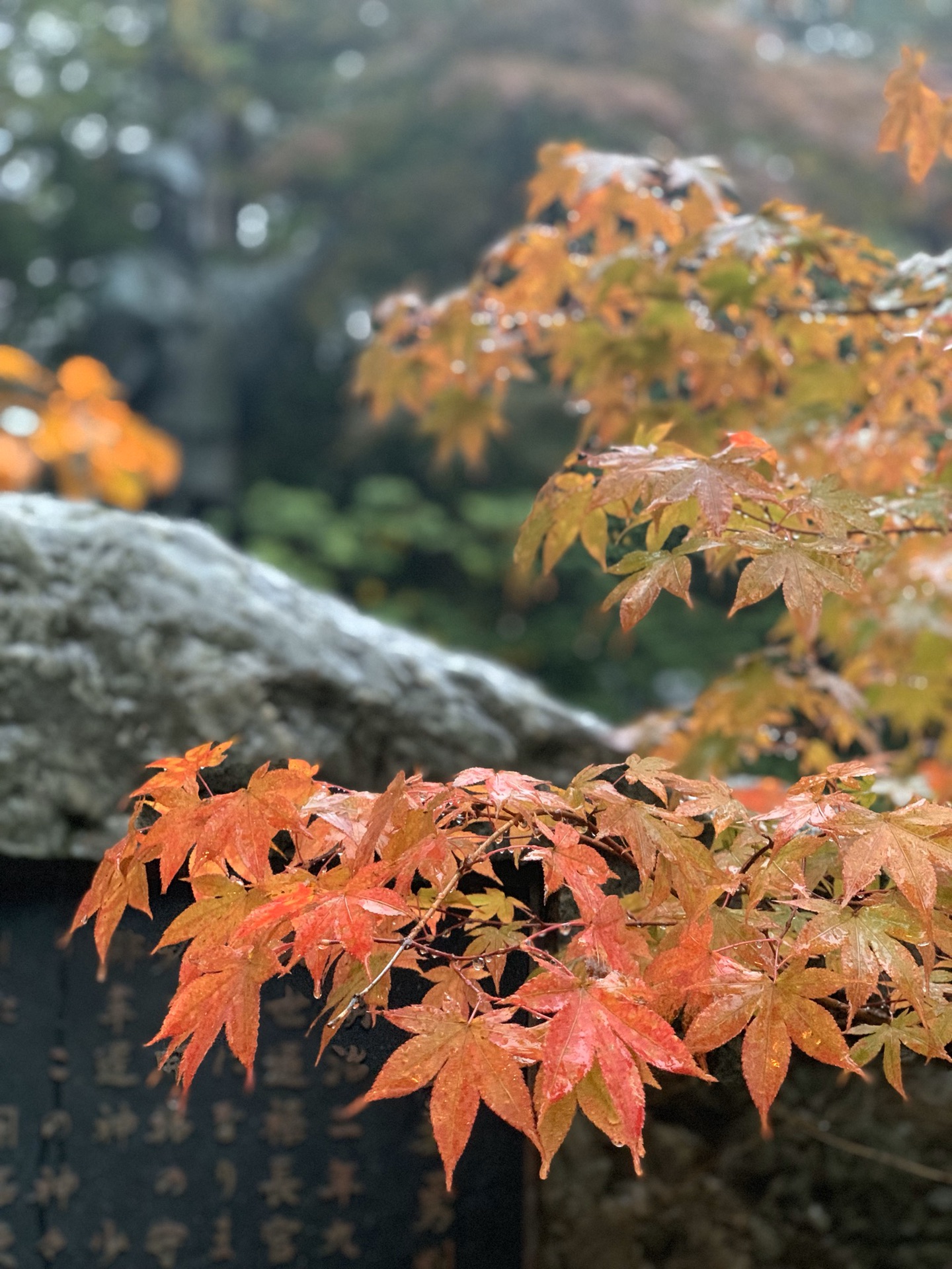 北海道自助遊攻略