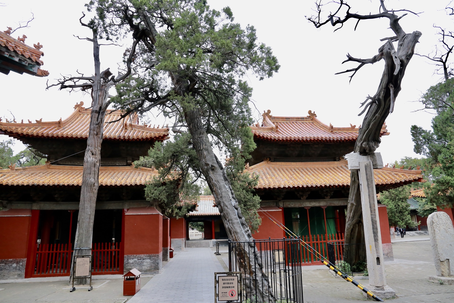 孔府孔庙孔林 马蜂窝