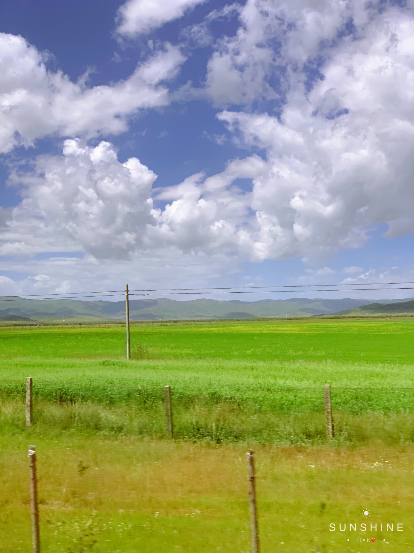 2020九寨若尔盖草原079869996997,九寨沟自助游攻略 - 马