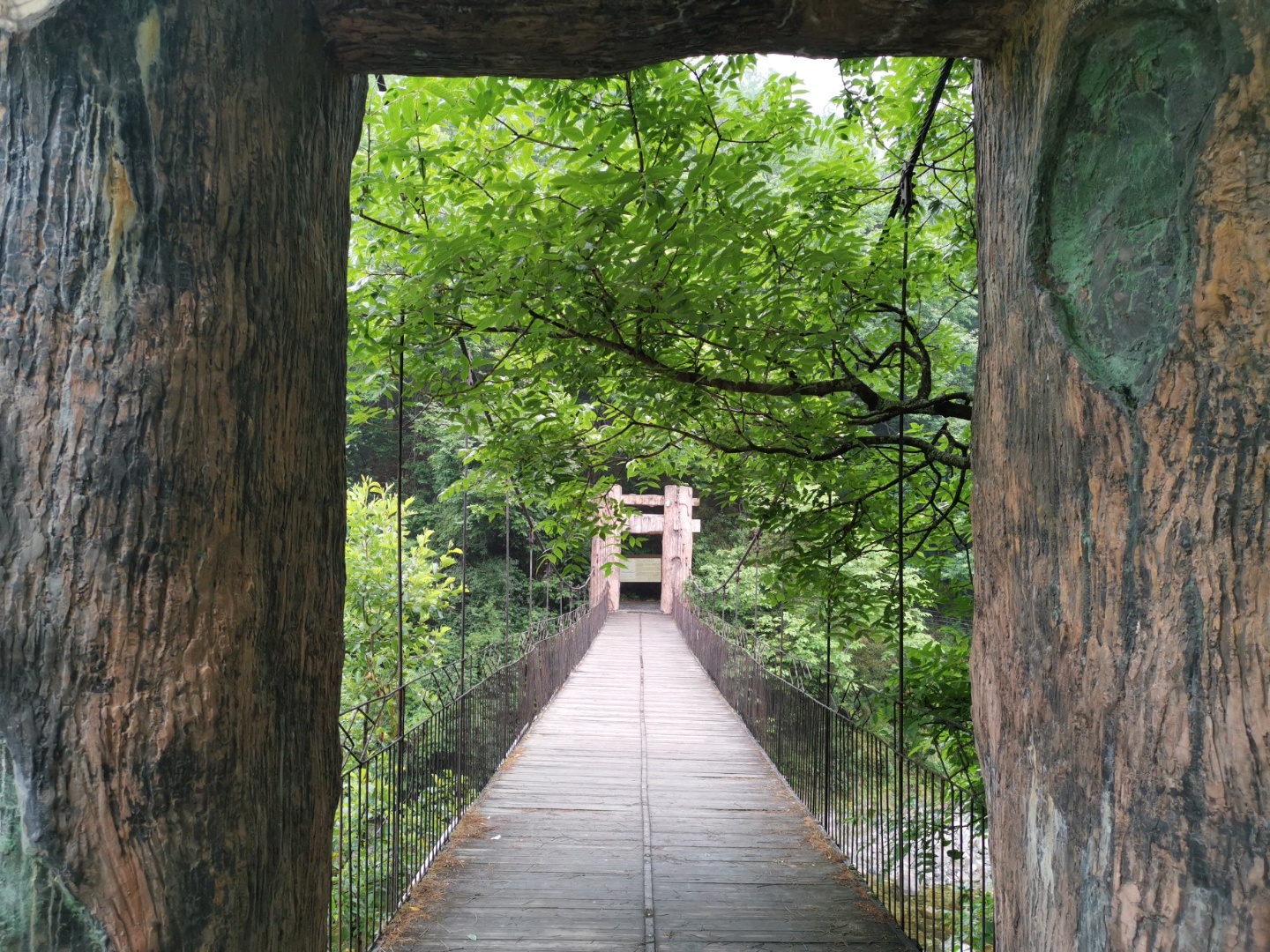 青川唐家河國家級自然保護區摩天嶺保護站介紹, 唐家河國家級自然保護