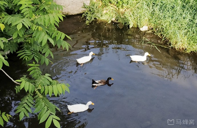 虹鳟鱼一条沟旅游图片,虹鳟鱼一条沟自助游图片,虹鳟鱼一条沟旅游景点