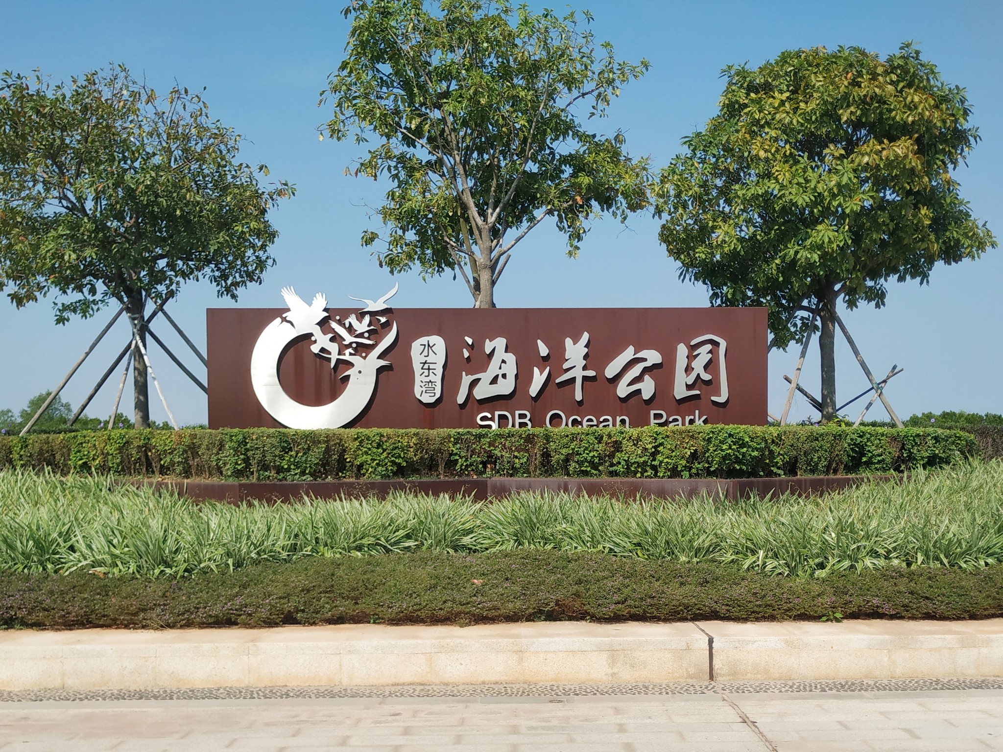 看到的不只是红树林水东湾海洋公园位于广东省茂名市电白区水东湾南岸