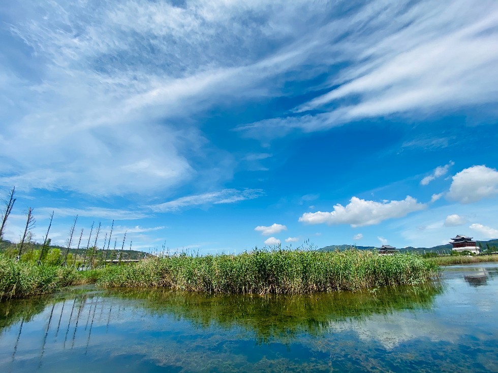 横琴滨海湿地公园图片图片