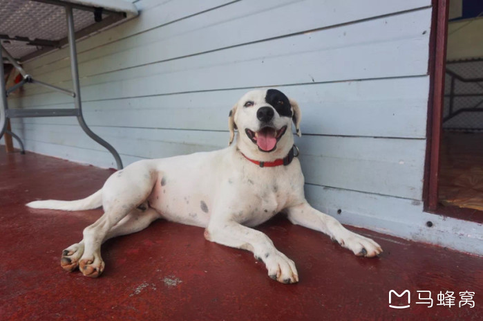 在斐济度假是一种怎样的体验