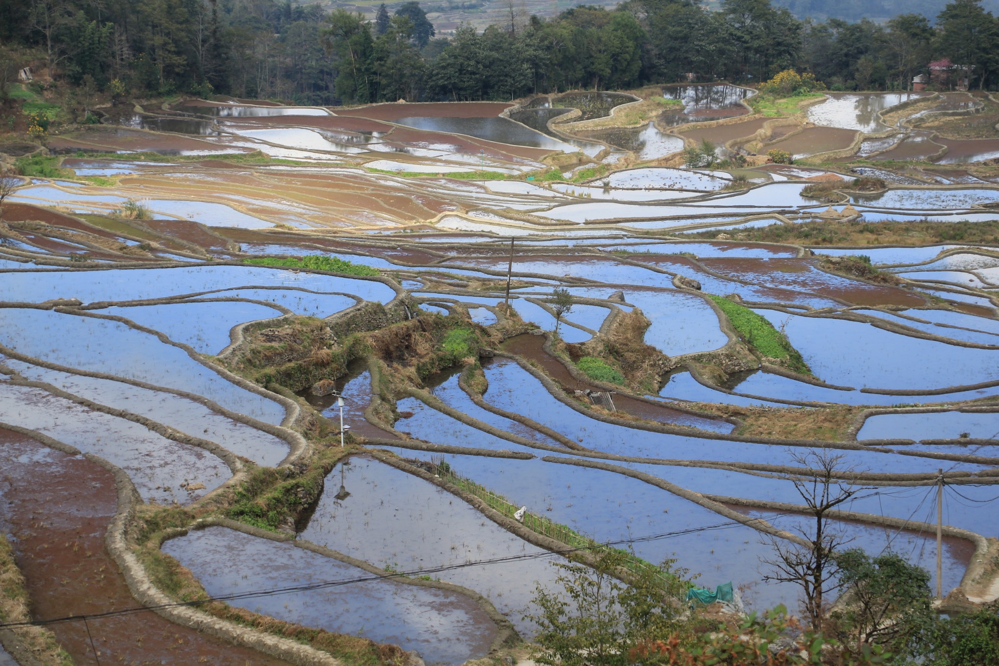 元阳梯田云南广西小众景点自驾游10