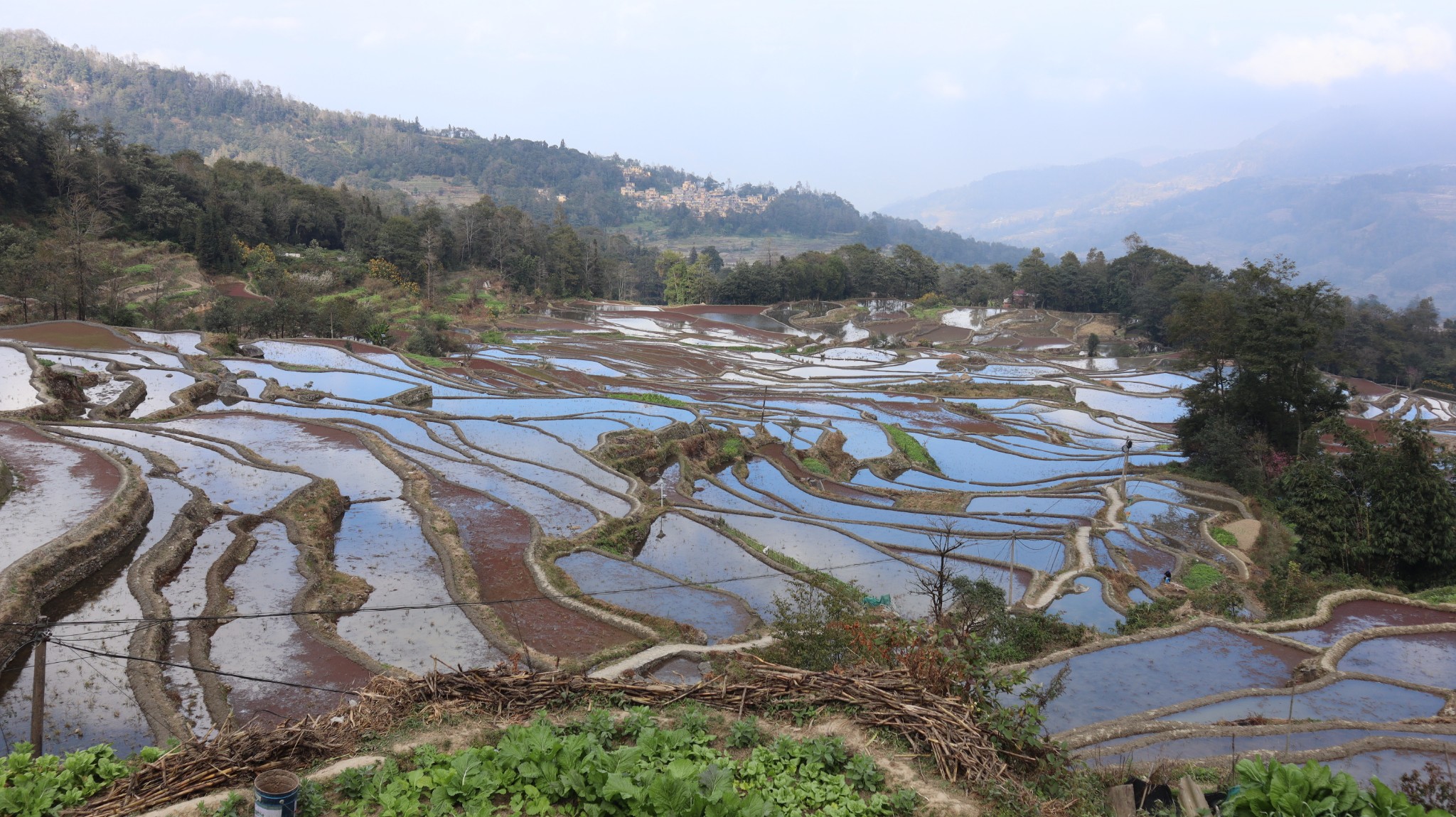 元阳梯田云南广西小众景点自驾游10