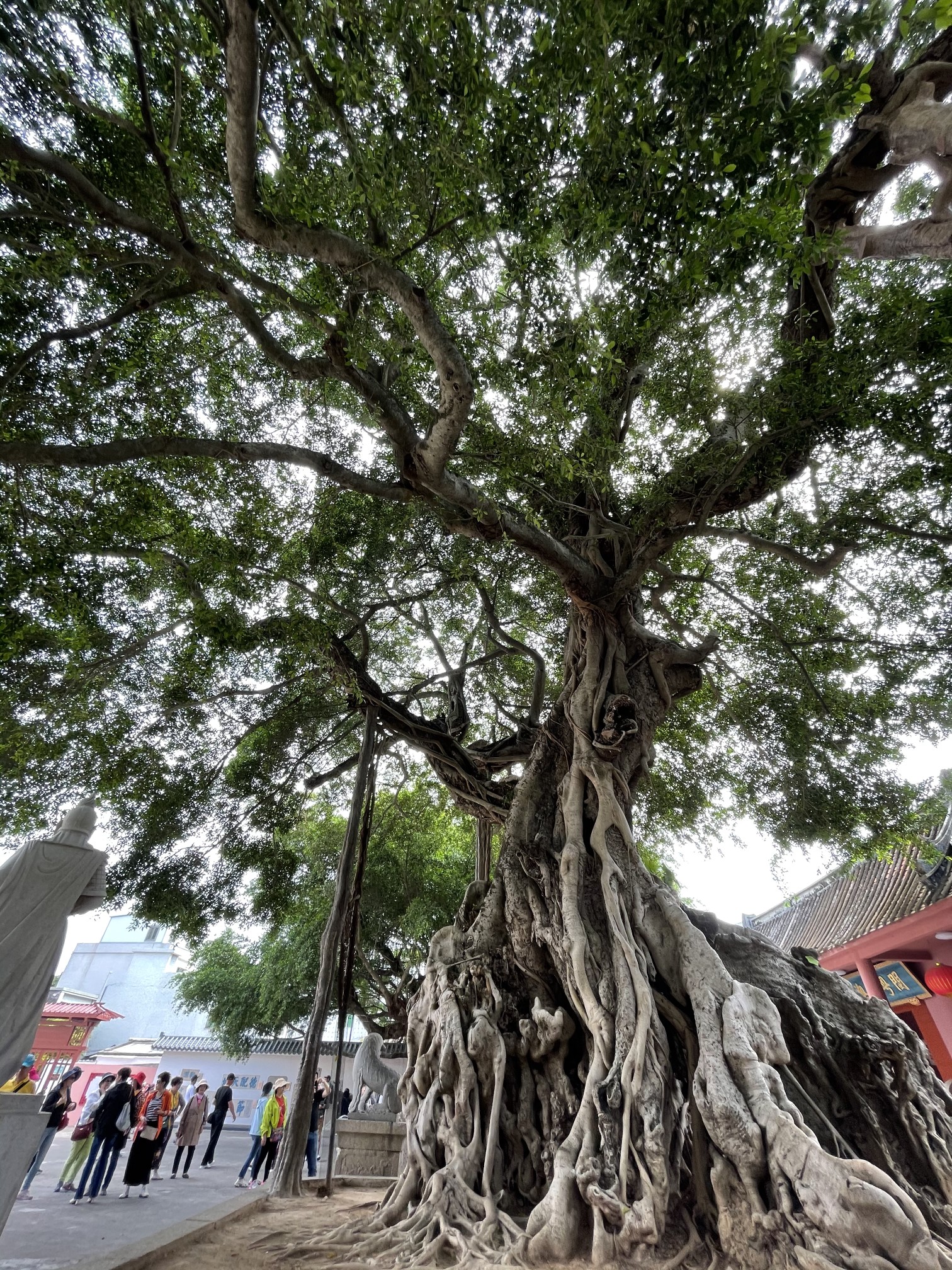 210417210420潮汕嗨吃四日游