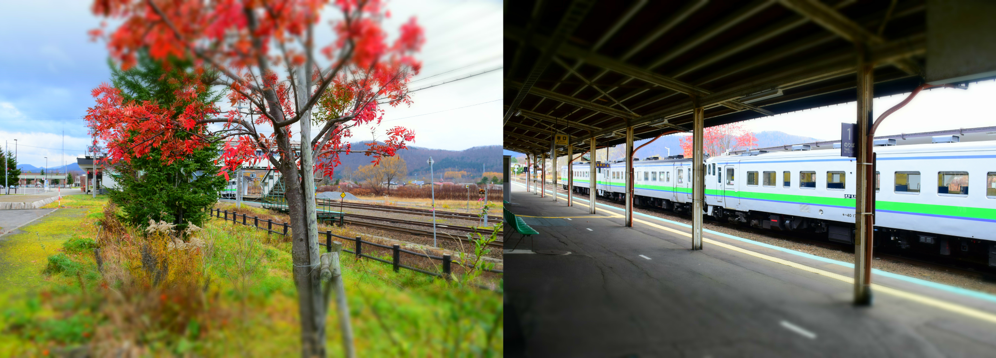 北海道自助遊攻略