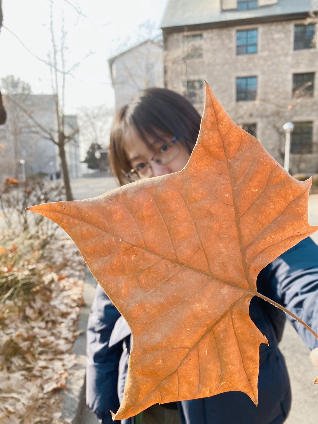 首爾自助遊攻略