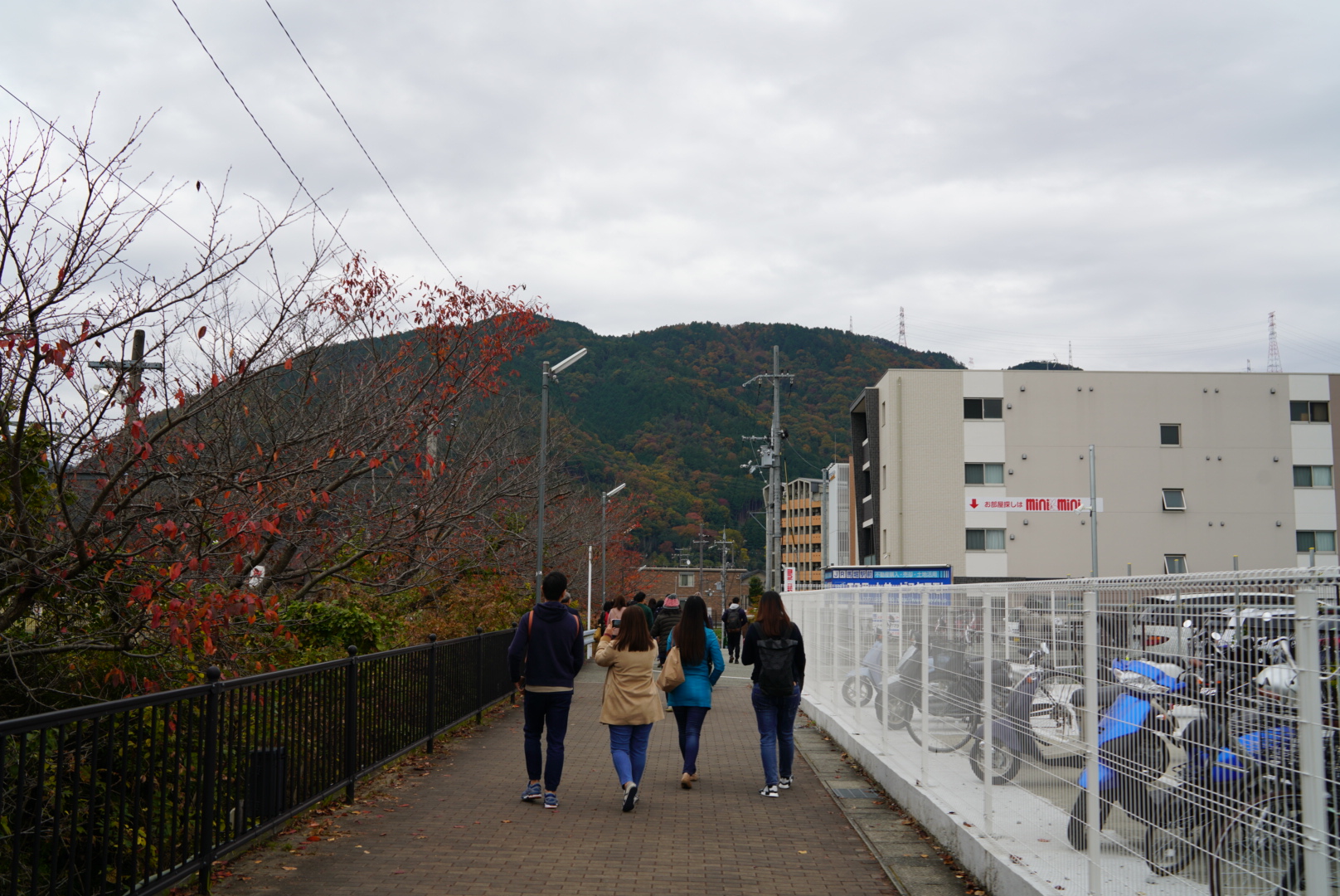 京都自助遊攻略