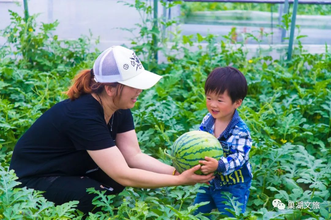 瓜果飘香正当时,大湖生态采摘游邀您相约!