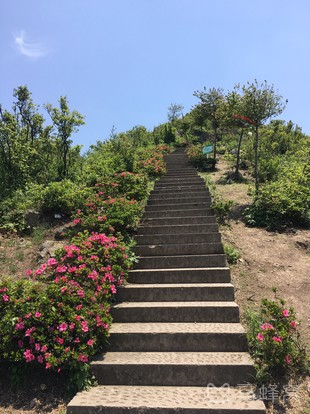 奉化金峨山旅游图片,奉化金峨山自助游图片,奉化金峨山旅游景点照片