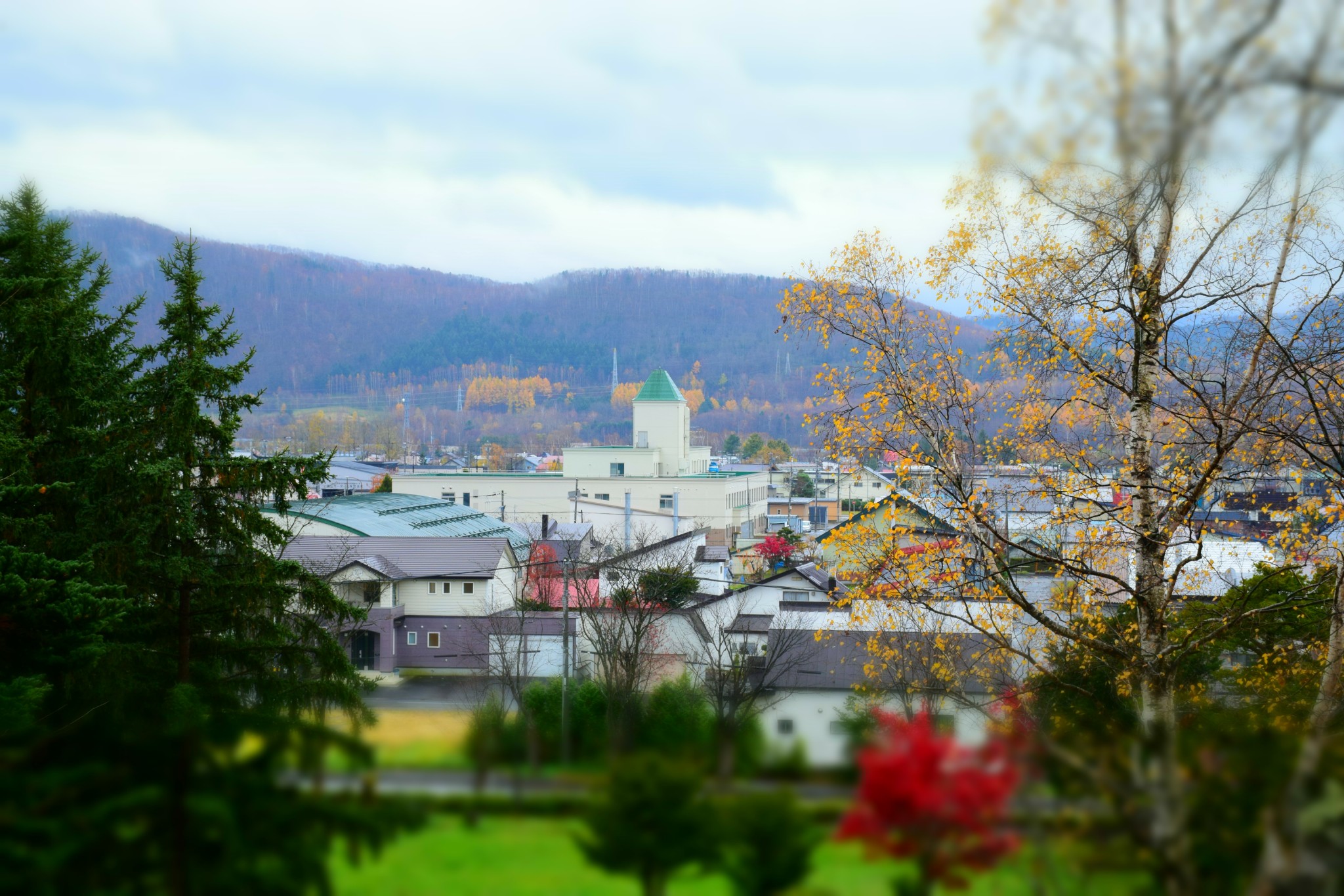 北海道自助遊攻略