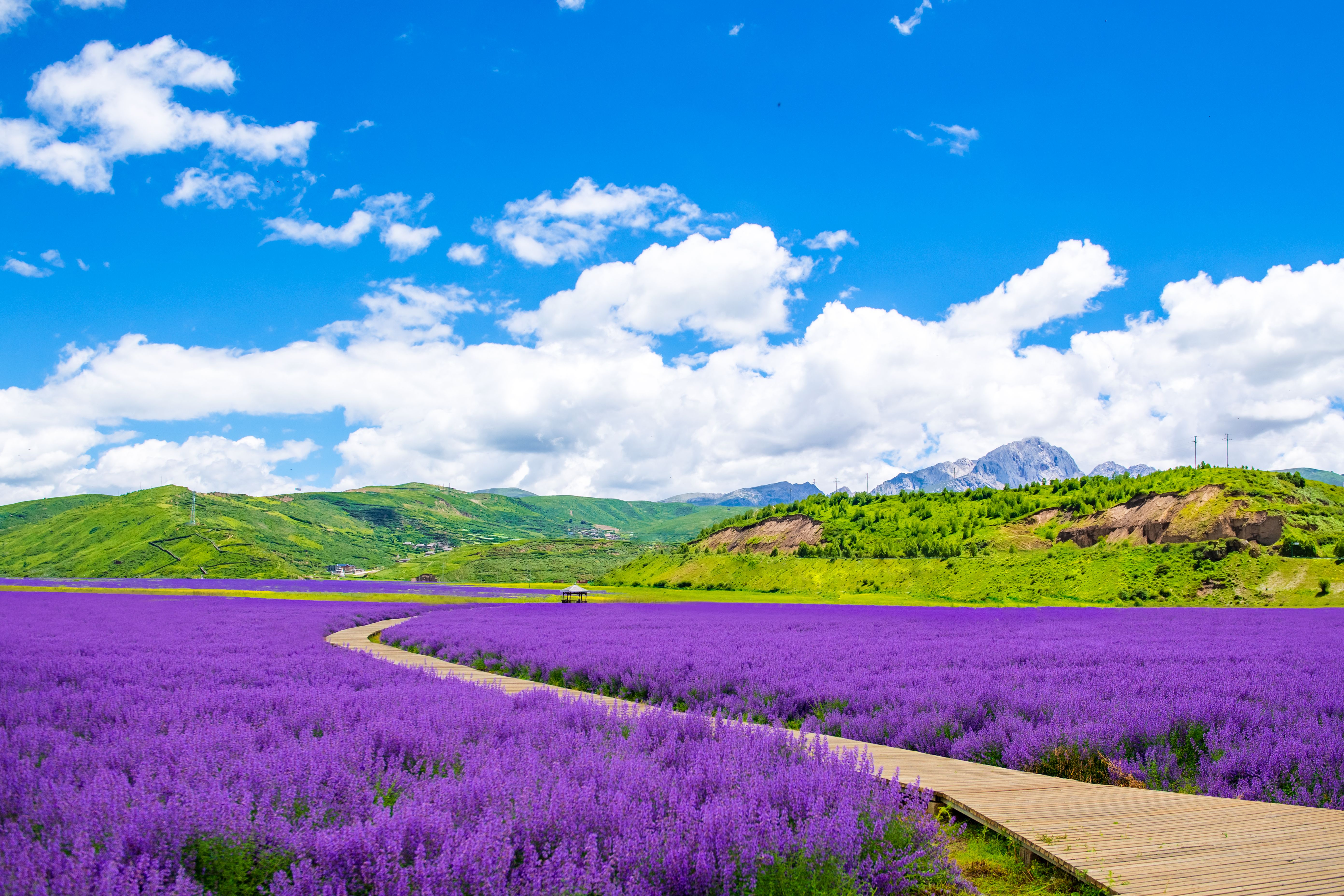 天堂香谷成人票