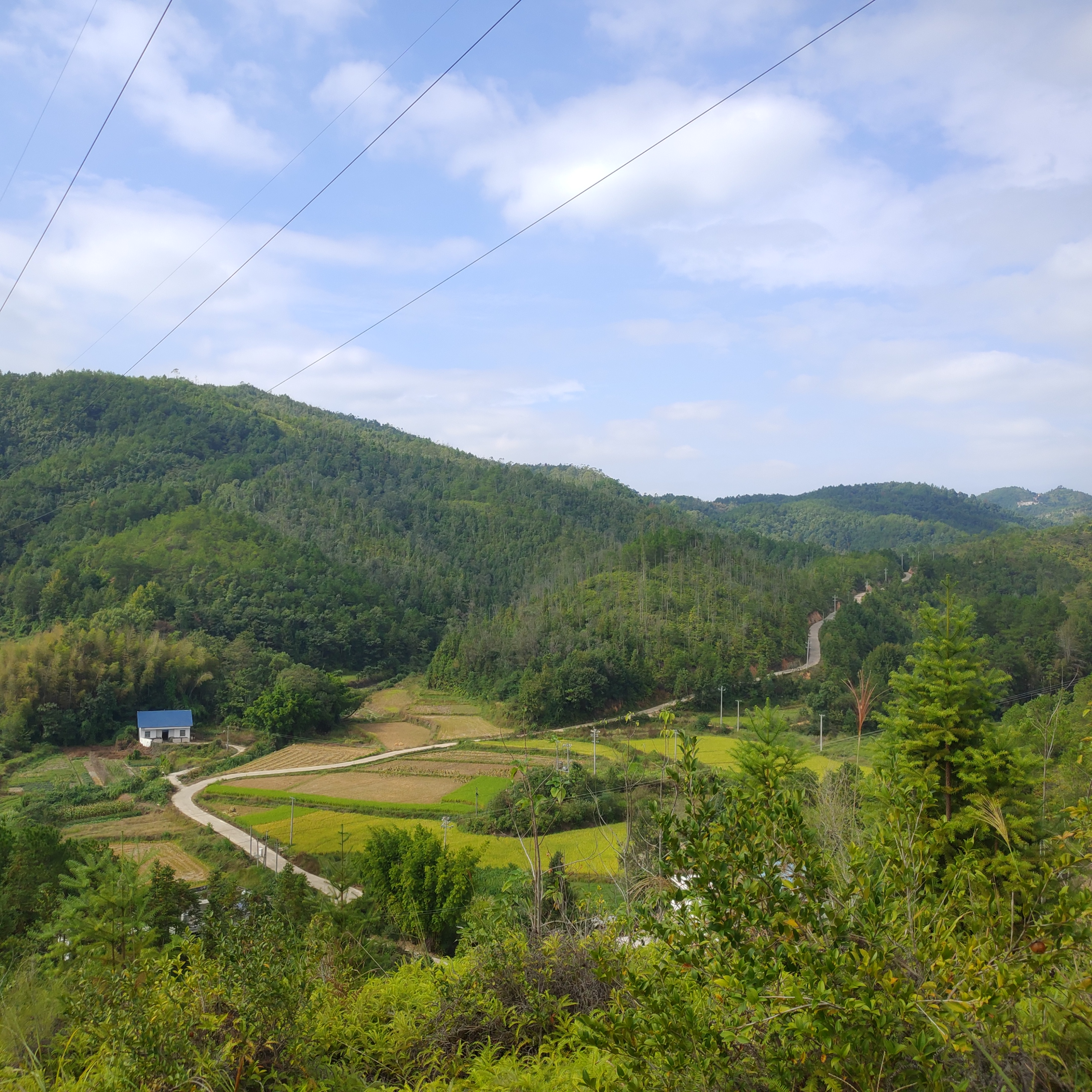 杨屋村