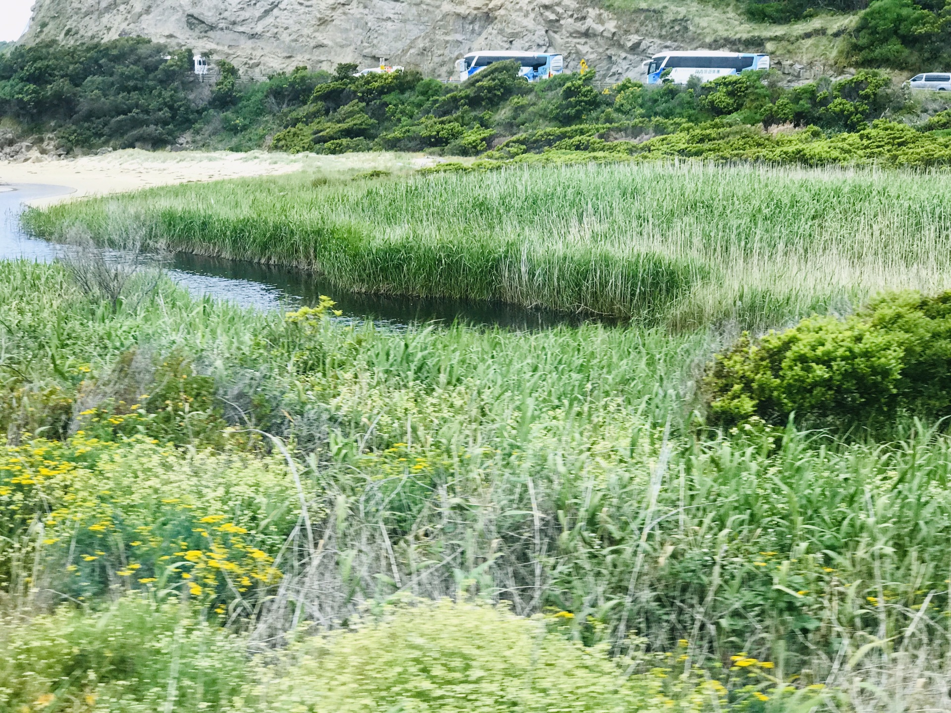 澳大利亞自助遊攻略