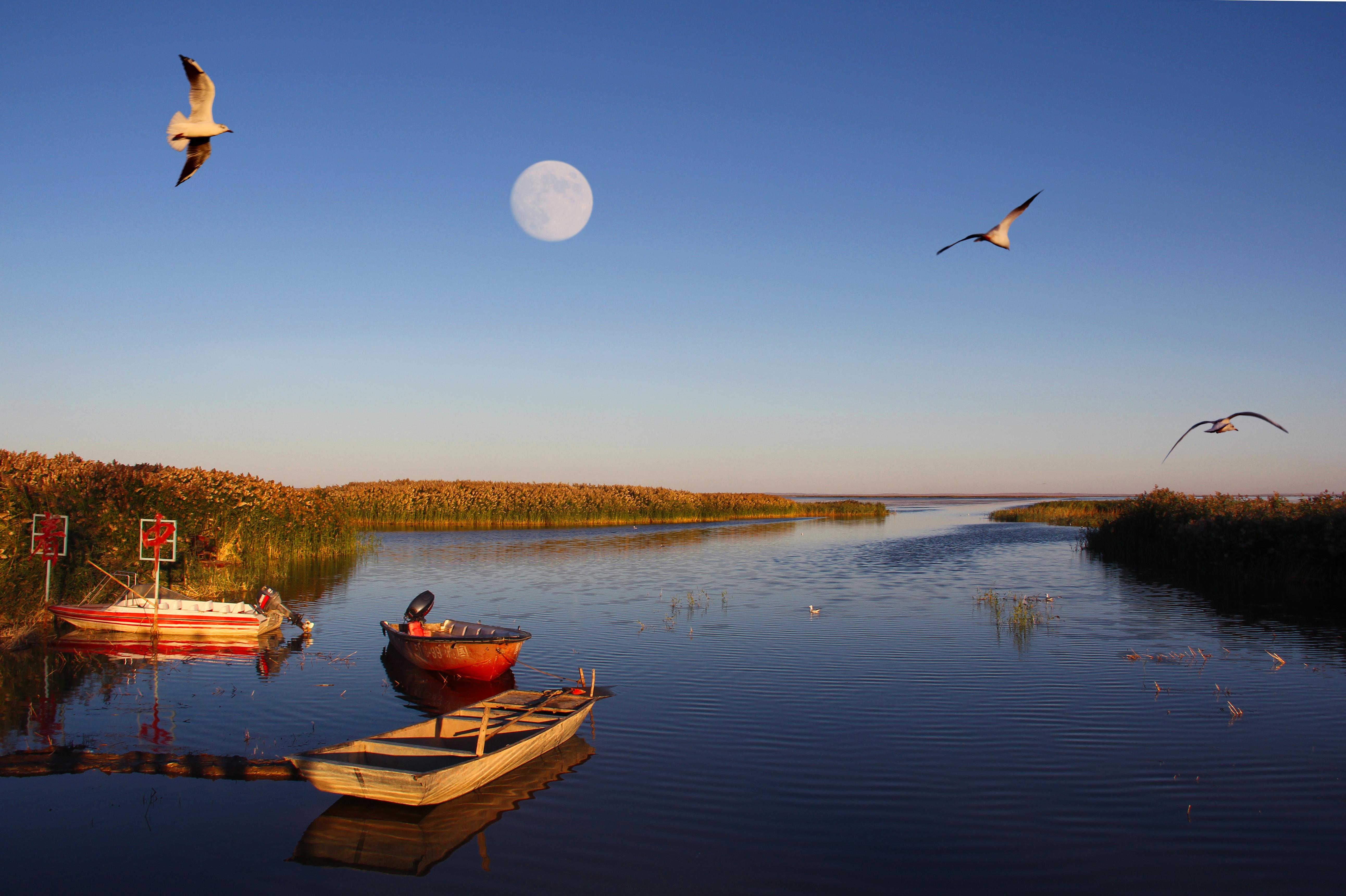 内蒙古居延海景区电子票,马蜂窝自由行 - 马蜂窝自由行