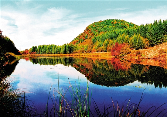 伊春林都五彩森林的金秋画廊自由行实用攻略