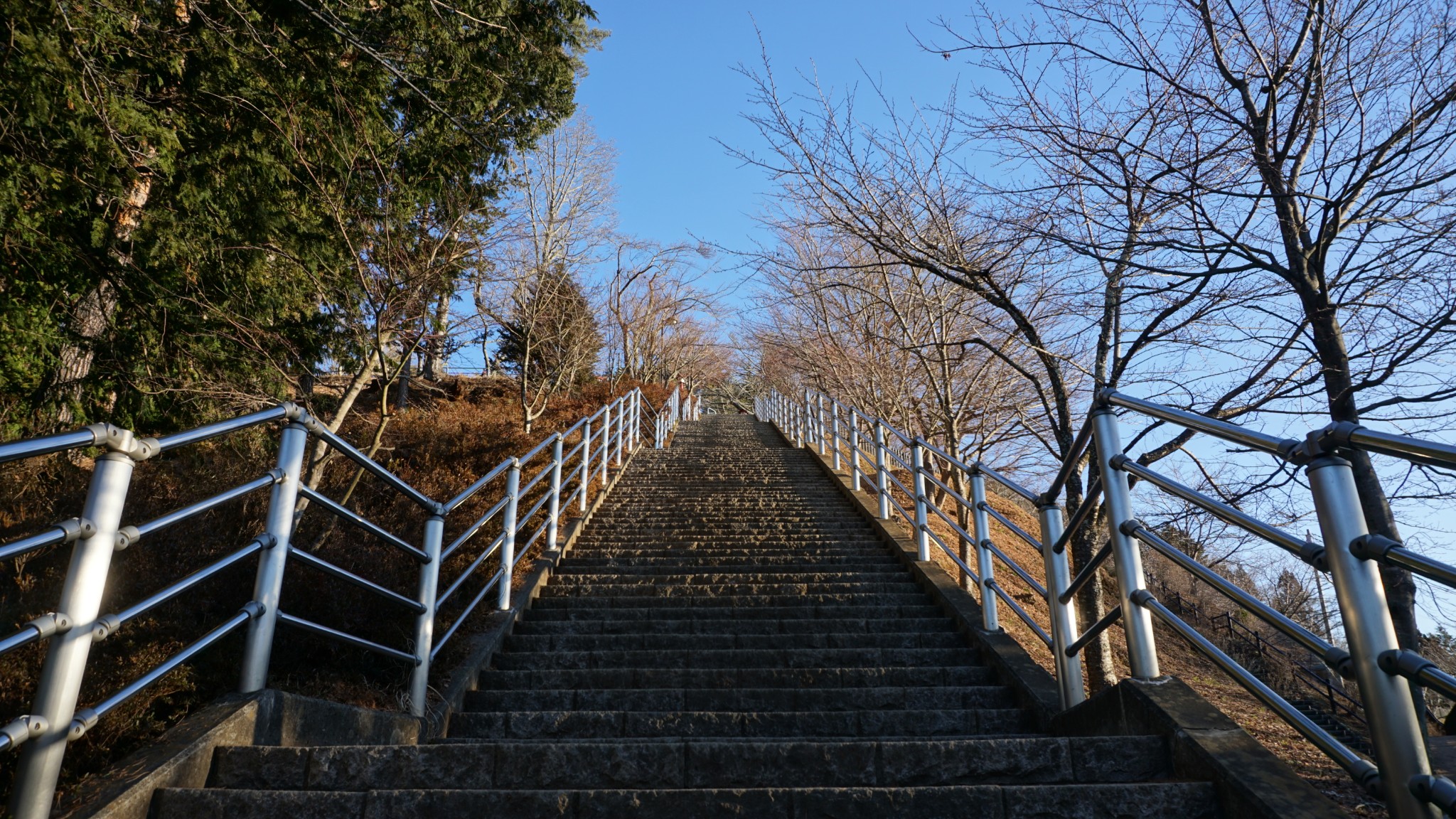 北海道自助遊攻略