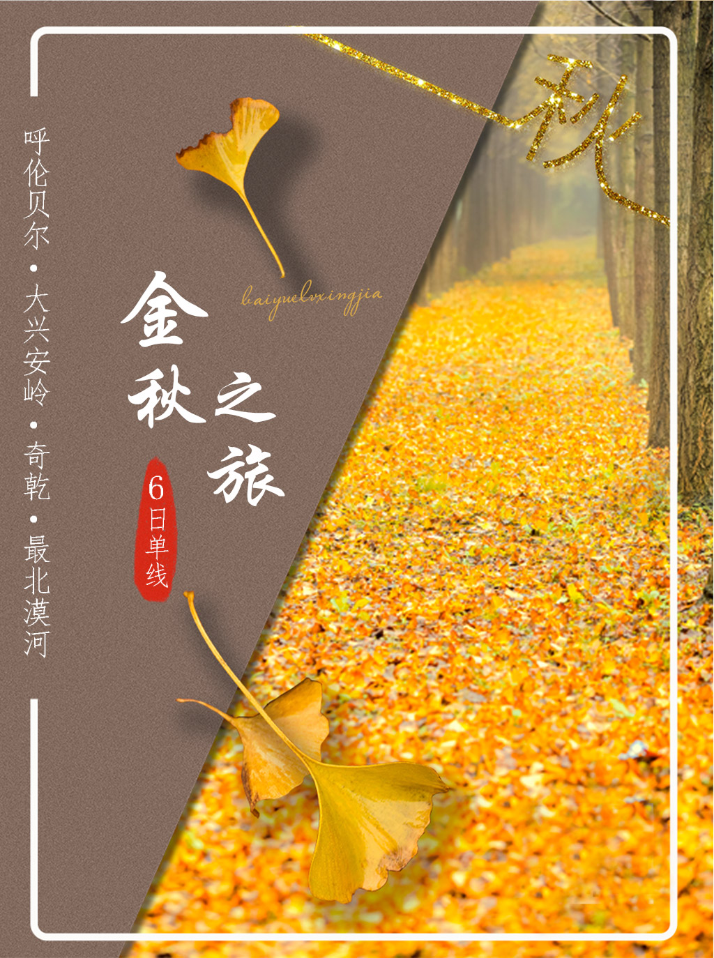 金秋九月从草原一路向北呼伦贝尔大兴安岭奇乾漠河北极村7日游单线