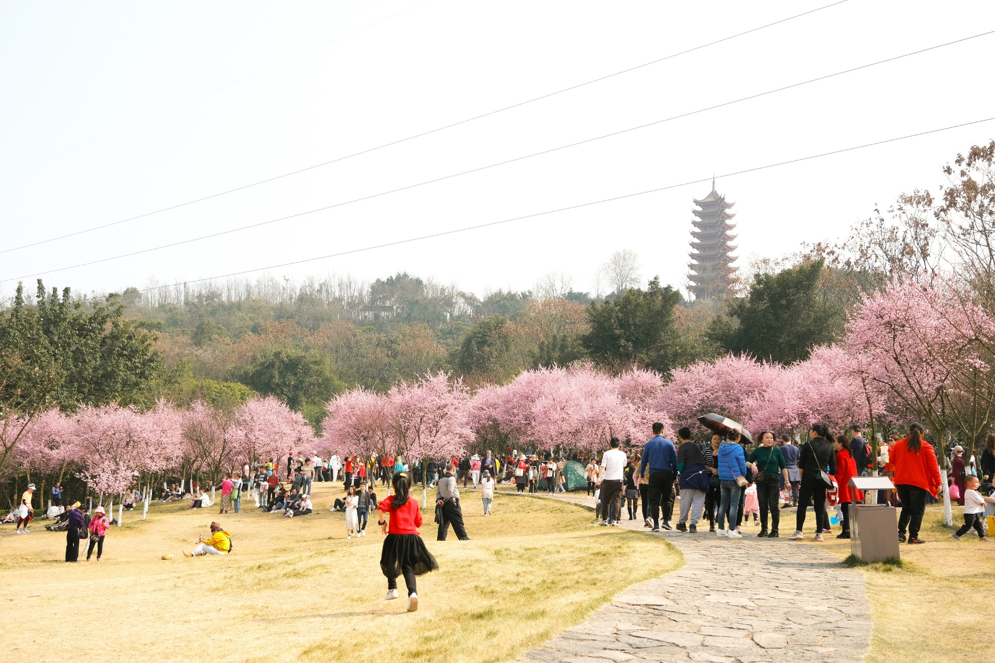 重慶自助遊攻略