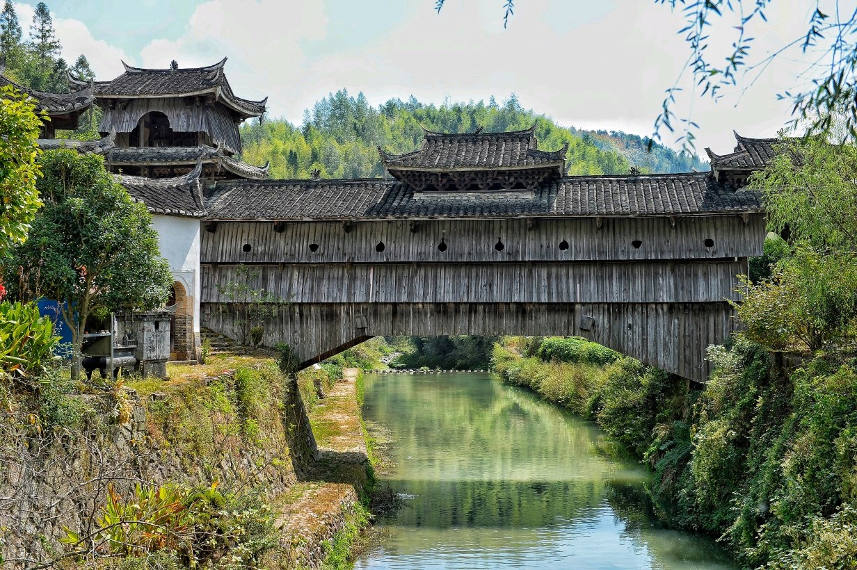 庆元旅游必去的景点图片